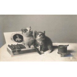 CHATS AF-DC503 CHATS + PUBLICITE POUR CIGARES VICTORIA