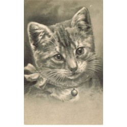 CHAT -35254 CHATS CAT KATZE PORTRAIT DE CHAT A CLOCHETTE GAUFREE