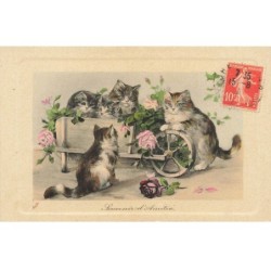 CHATS AG-MK066 SOUVENIR D AMITIE CHATS AVEC UNE BROUETTE DE FLEURS ROSES