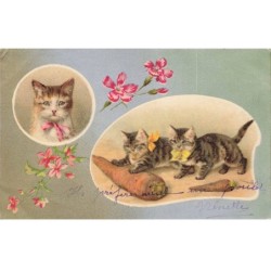 CHATS -MK43621 CHATS CAROTTE GEANTE FLEURS PORTRAIT