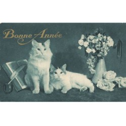 CHATS AF-DC511 CARTE BONNE ANNEE CHATS DEVANT UN POT DE FLEUR ET UN LIVRE