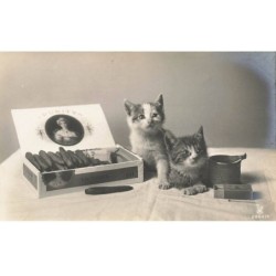 CHATS AF-DC502 CHATS + PUBLICITE POUR CIGARES VICTORIA