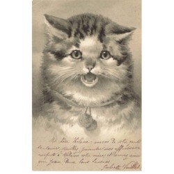 CHAT -35258 CHATS CAT KATZE PORTRAIT DE CHAT GAUFREE