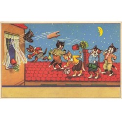CHATS -MK40002 CHATS HUMANISER HABILLE SUR LE TOIT DUNE MAISON LUNE MOON