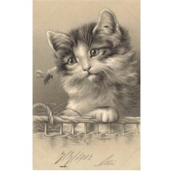 CHAT -35262 CHATS CAT KATZE PORTRAIT DE CHAT ET ABEILLE GAUFREE