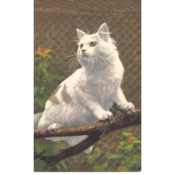 CHATS -MK40058 UN CHAT BLANC SUR UNE BRANCHE
