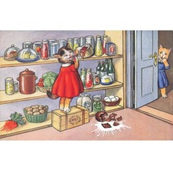 CHAT -35282 CHATS CAT KATZE CHATS HUMANISES DANS LE GARDE MANGER