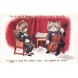 CHATS -MK40187 CHATS HUMANISES EN COSTUME MUSICIENS INSTRUMENT VIOLONCELLE