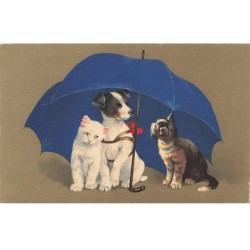 CHATS -MK43617 DEUX CHATS ET UN CHIEN JACK RUSSELL SOUS UN PARAPLUIE BLEU