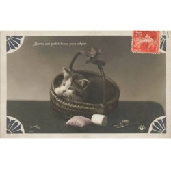 CHATS -MK39765 DANS UN PETIT TROU PAS CHER CHAT DANS UN PANIER