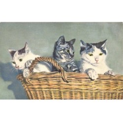 CHATS -MK40066 CHATS DANS UN PANIER