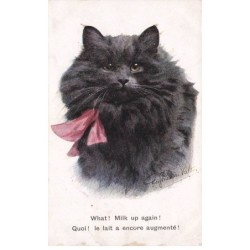 CHAT NOIR -FG35013 CAT BLACK KATZE MILK UP AGAIN PAR VALTER