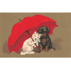 CHATS -MK43618 UN CHAT ET UN CHIOT SOUS UN PARAPLUIE ROUGE