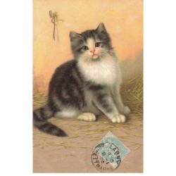 CHATS -MK46037 UN CHAT DANS LA PAILLE