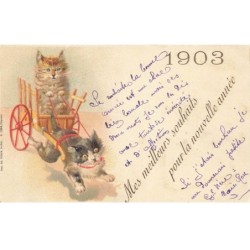 CHATS -MK44981 ATTELAGE DE CHATS ANNEE 1903 EDIT WEICK