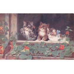 CHATS -MK39891 TROIS CHATONS A LA FENETRE ET UN OISEAU