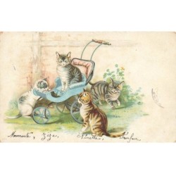 CHATS -MK46760 CHATS POUSSETTE