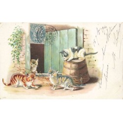 CHATS -MK39950 QUATRES CHATS SAUT BOIS