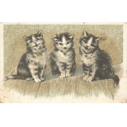 CHATS -MK46768 TROIS CHATONS