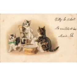 CHATS -MK44919 CHATS LAVEMENT DE PATTES NOEUD PAPILLON VERT