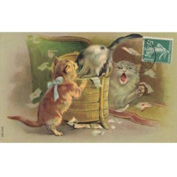 CHATS -MK44934 CHATS GRIS EN COLERE ENVELOPPE NOEUD PAPILLON BLEU