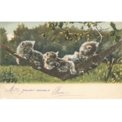 CHATS -MK46050 CHATONS ALLONGE DANS UN HAMAC