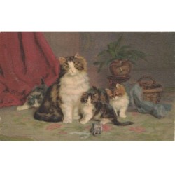 CHATS -MK46052 UNE CHATTE ET SES CHATONS
