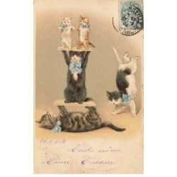CHATS -MK46064 CHATS CIRQUE ACROBATIE