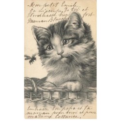 CHATS -MK41549 UN CHAT ET UN INSECTE VOLANT