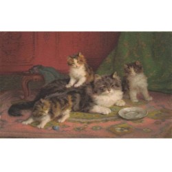 CHATS -MK43589 UNE CHATTE ET SES CHATONS