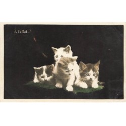 CHATS -MK43587 A L AFFUT QUATRES CHATONS