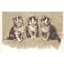CHATS -MK41537 TROIS CHATS COLLIERS NOEUD PAPILLON