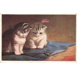 CHATS -MK43602 DEUX CHATONS ET UN SCARABEE