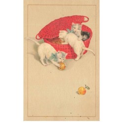 CHATS -MK41489  CHATS PANIER ROUGE FRUITS