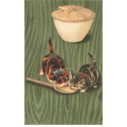 CHATS -MK41485 DEUX CHATONS QUI MANGE DANS UNE CUILLERE EN BOIS
