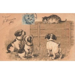 CHATS -MK41548 UN CHAT ET TROIS CHIENS COLLIERS