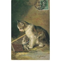 CHATS -MK41484 CHAT ET UN RAT PAR ILLUSTRATEUR LEROY