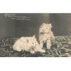 CHATS -MK41501 CHEZ EUX DEUX CHATONS AUX YEUX VERTS