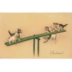 CHATS -MK41528 ACROBATIES CHATS QUI JOUENT A LA BALANCOIRE