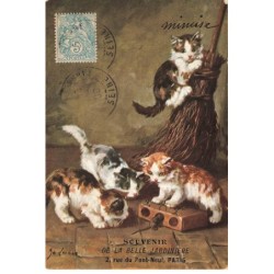 CHATS -MK41529  CHATS BALAIS SOURIS + PUBLICITE BELLE JARDINIERE