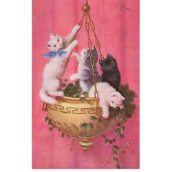 CHATS -MK39990 QUATRES CHATS BLANC NOIR ET GRIS DANS UN POT DE FLEURS PAR ILLUSTRATEUR A.STONE