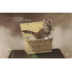 CHATS -MK41502 JE PAIE NI LOYER NI CONTRIBUTIONS CHAT DANS UN PANIER RUBAN VERT