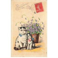 CHATS -MK39994 SOUVENIR CHATS ENVELOPPE VASE DE FLEURS MYOSOTIS