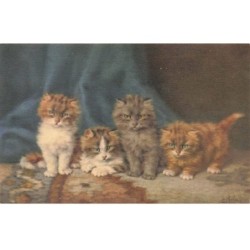 CHATS -MK41481 QUATRES CHATONS GRIS MARRON BLANC