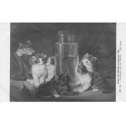 CHATS -MK43583 CURIOSITE DES CHATONS