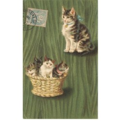 CHATS -MK39981 UNE CHATTE ET SES CHATONS DANS UN PANIER