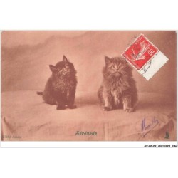 AV-BFP2-0768 - ANIMAUX - Chats - Sérénade