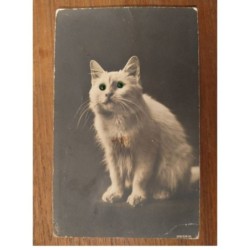 CHAT CAT -FG49221 BLANC CARTE A SYSTEME AJOUTIS YEUX PERLES