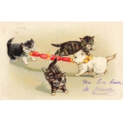 CHATS -MK44967 CHATS QUI JOUENT AU TIR A LA CORDE