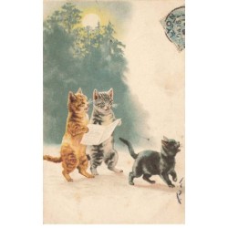 CHATS -MK46767 CHATS HUMANISES MARRON GRIS ET NOIR LISENT LE JOURNAL SOLEIL BALADE
